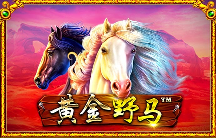 博鱼·综合